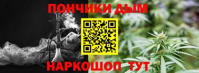 гидра Краснознаменск