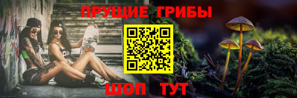 Псилоцибиновые грибы GOLDEN TEACHER  Вход с VPN  Псилоцибиновые грибы GOLDEN TEACHER  Ярославль 